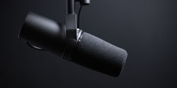 Speaking-scaledoptimized