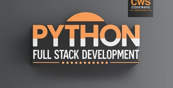 PYTHON-FSD