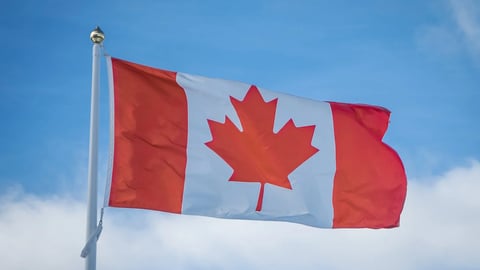 Apply for Canada PR, Study or Work Visa: Explore Your Options