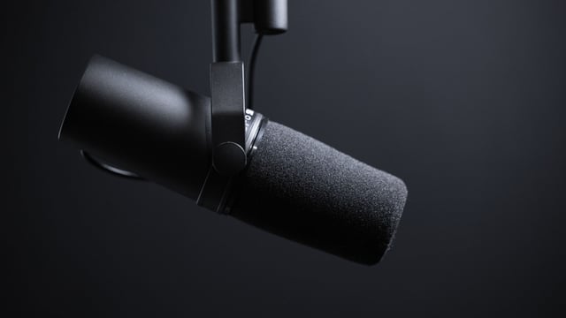Speaking-scaledoptimized
