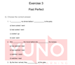Exercise 3: Past Perfect Tense