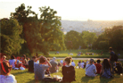 Duolingo: Write about the photo-A Leisurely Gathering in Nature’s Embrace