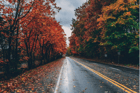 Duolingo Speak about the photo: Autumn’s Tranquil Path