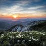 Duolingo Speak about the photo: Ethereal Dawn