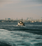 Duolingo speak about the photo: Where Water Meets Skyline