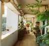 Duolingo speak about the photo: Sunlit Indoor Oasis