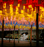 Duolingo speak about the photo: Lanterns of Light and Wonder