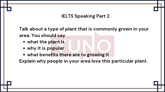 21 July 2024 IELTS Speaking Part 2,3 Plant of your area Sample Answer