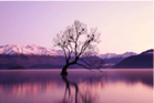 Duolingo speak about the photo: A Serene Sunset