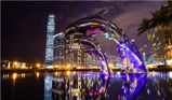 Duolingo speak about the photo: Dolphins in the Heart of a City’s Nightscape