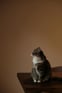 Duolingo write about the photo: More Than a Pet