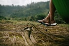 Duolingo speak about the photo: Harmony with Nature