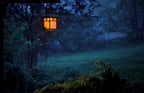 Duolingo write about the photo: Lantern in a Misty Garden