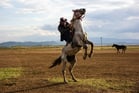 Duolingo speak about the photo: The Rider and the Wild Beast