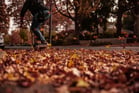Duolingo speak about the photo: Skating Through the Splendor of Fall