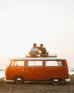 Duolingo speak about the photo: Friends and Wanderlust