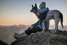 Duolingo Write About the Photo: Dusk Companions on the Cliff