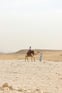 Duolingo Speak about the Photo: A Glimpse of Life in the Desert
