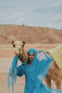 Duolingo Speak about the Photo: Desert Elegance