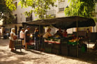 Duolingo Speak about the Photo: A Leisurely Shopping Scene